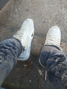 Dropdingo Public صورة واحدة|Dropdingo Public صورتان|Dropdingo Public  صور|Dropdingo Public  صورة