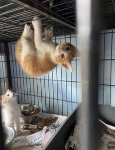 Mimi_Sexy08 You ah🤣 You're so cool! Pic