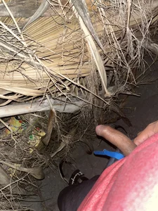 Feder97 Public Billede 4