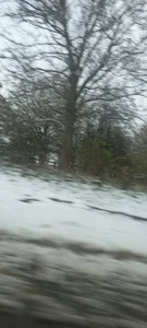 neon_coolのPublicの 3枚の写真