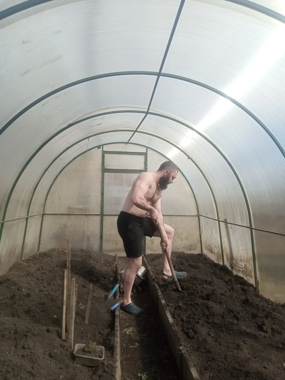 Ant_Power  7659. kiemelt képe