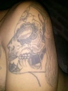 Public de Guanatos13  5 Imagens