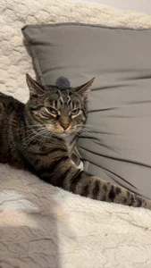 your_soul_AnnaのMy soul - , tip for his snacks if u like him )の 2枚の写真