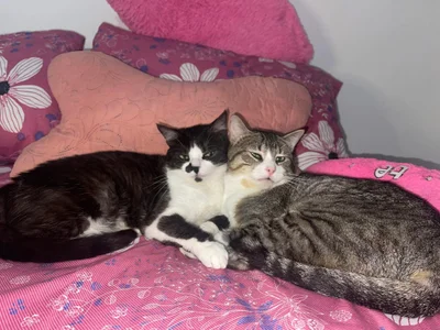 amber_colliiins A little bit of me for you Pic 5