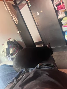 Johan_Dangel Public Pic 2