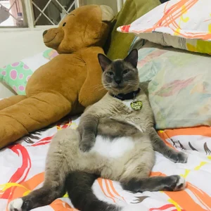 NATAASHA___ 😽NICE TO MEET YOU IM COFFEE😻 Bilde 5