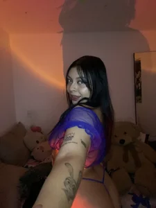 Public de Catsucker  Imagens