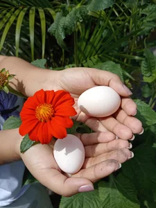 ValeryMorghan ☀️We are all Nature 🍃 Pic