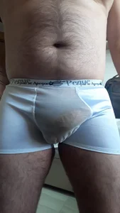 PeludoBrasil peludo . fénykép