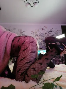 Quietdaisy zzz 사진