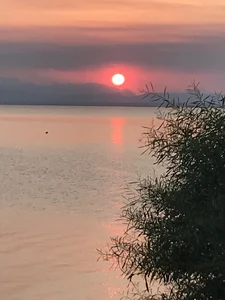 comokaliiのPublicの 3枚の写真