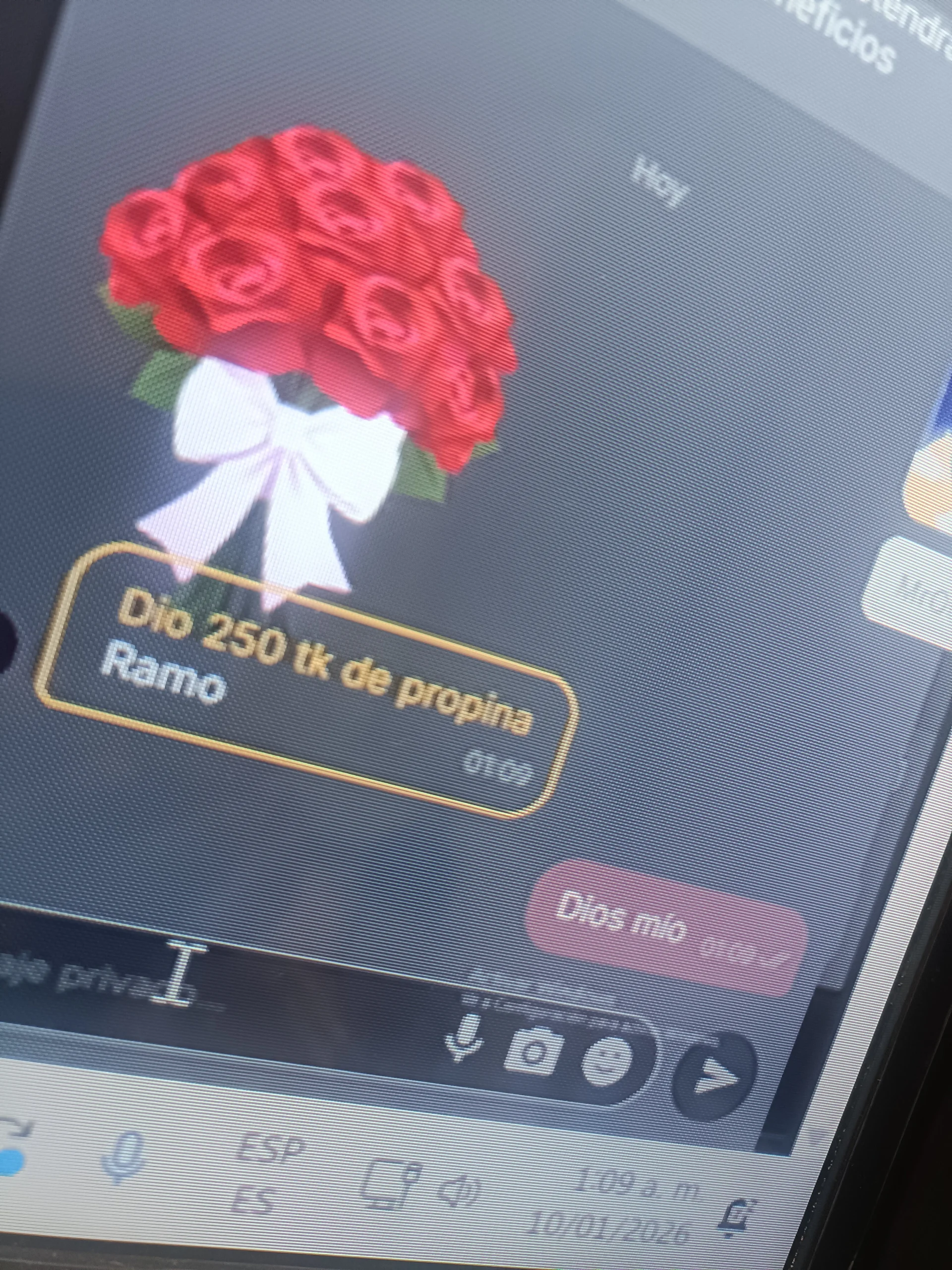 Emilyvalk  - Photo 10