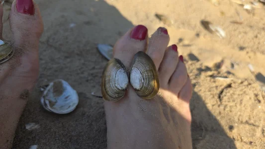 My toe de LissyJains  Imagens