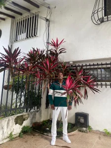 mike_aly 𝐑𝐨𝐦𝐚𝐧𝐭𝐢𝐜 𝐌𝐚𝐧 🌹 Εικόνα