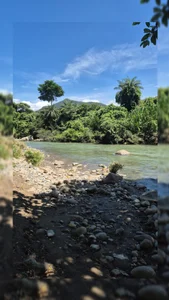 Enjoying nature. 🥰 🏞 de daliataleboficiall  Imagens