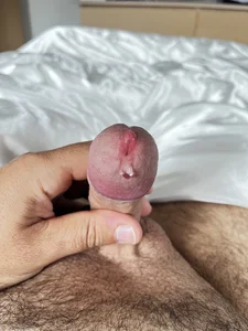 Public de FungodeBoy  5 Imagens