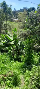 GabyThoms nature and peace Pic 4