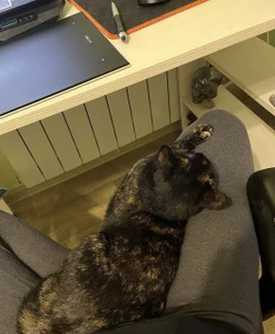 rara_ruru Eve Immagine  9