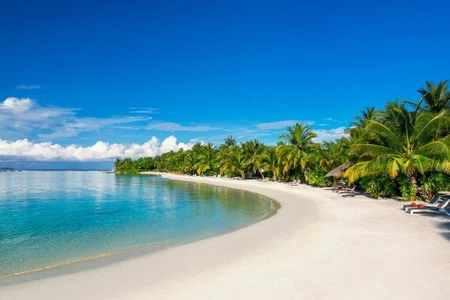 JanyJanys my dream slika 2