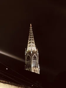 maximo_2019 Public Pic