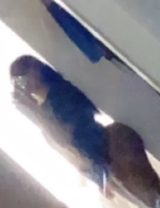 AmyBriiggsのPublicの 5枚の写真