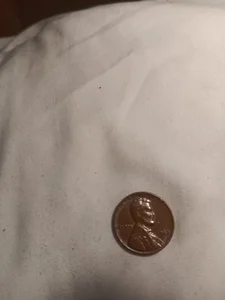 cocomax007 Ya Immagine  5