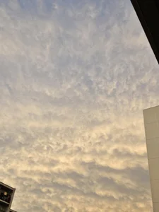 台風来なかった！no typhoon in my area od ERIKA-JP-168130  snímek