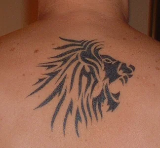 BlameItOnJuniorMy Photos Bild