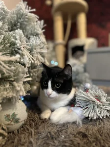 Piinkpandora kullanıcısının My Pinkis🐾 albümü -  fotoğraf