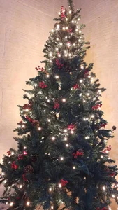 MISS_LINDAH DANKJE WEL @SEXSLAAFJE Pic 2