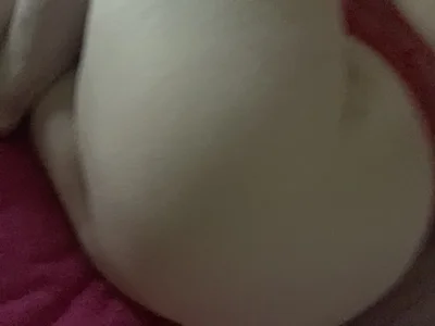 GoddessKitty-4u's photo