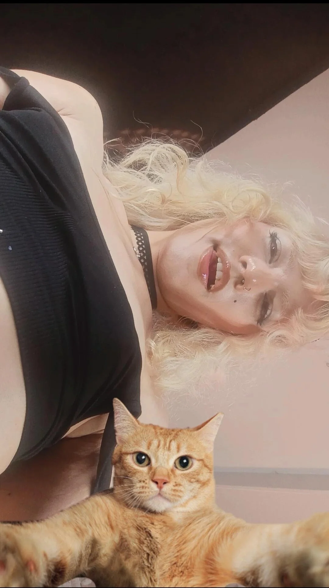 Ảnh Thịnh Hành của Belle_Kitten 3604