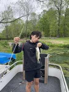 Public de conradical18  4 photos