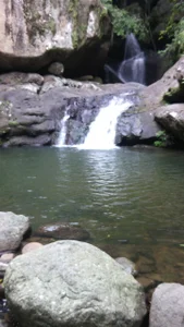 TommhotのNatureの 3枚の写真