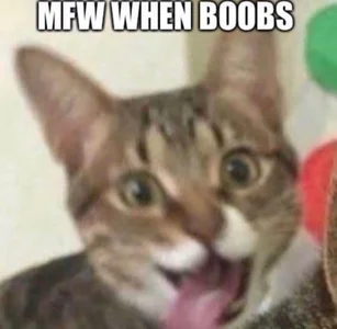 memes! de So_audrey Foto 4