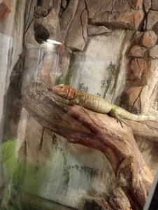 Anita-Smith 🤗☀️ Foto 8