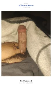 TrainedNickel4 Public صورة واحدة|TrainedNickel4 Public صورتان|TrainedNickel4 Public  2 صور|TrainedNickel4 Public  2 صورة