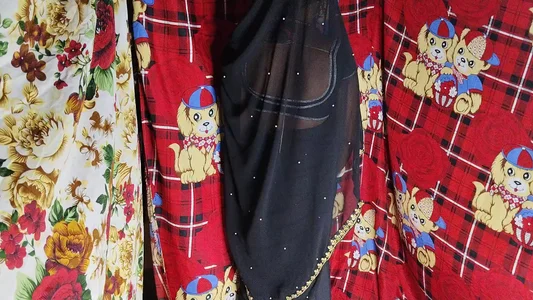 ROBOPL Saree removing show Pic