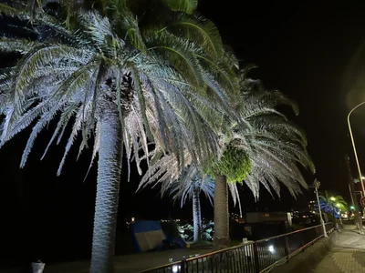 Senzuri_kun night view of orange beach (オレンジビーチ夜景) Immagine  4