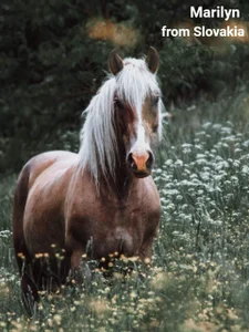 SexyAnny_ Your pets said hello to me!))) Pic