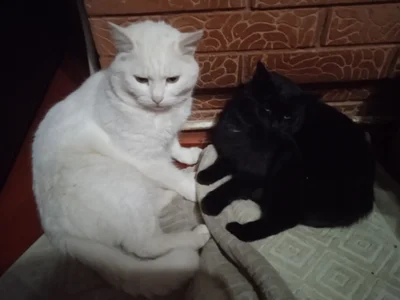 Your_Liza Nature Foto 3