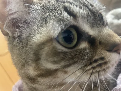 Rena__ Public Foto 4