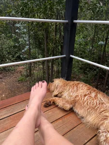 Ciielo_777 ☘️ Vacation ☘️ зображення 4