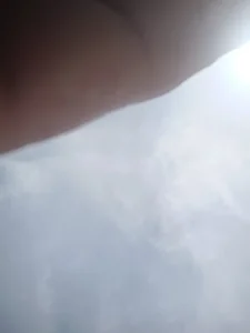 jacaranduba07 Public Pic 2