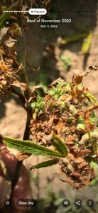 Marccoo123のPublicの枚の写真