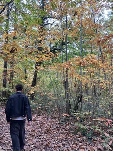 _Tyron Public зображення 2