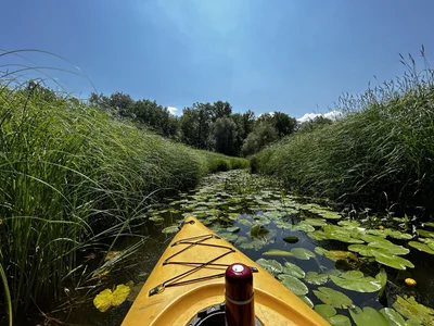 MistyBarnes take it ease 사진 3