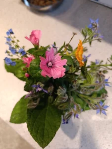 Astrid-Gilbert .,...nice... Foto 3