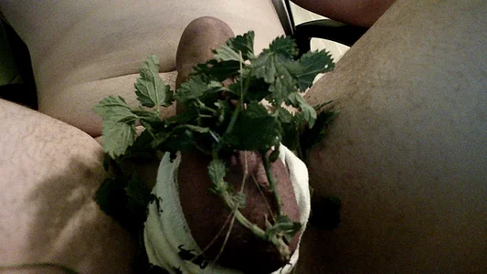 WrocDlaNiej Public Foto 2