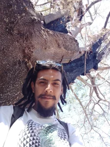 Public de Pziko  photos